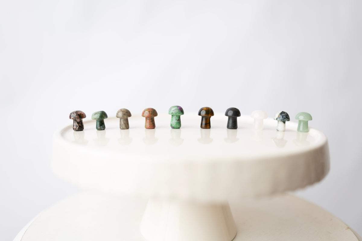 Mystery Mini Mushroom Carvings