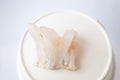 Golden Healer Quartz Cluster