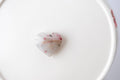 Pink Ocean Jasper Heart