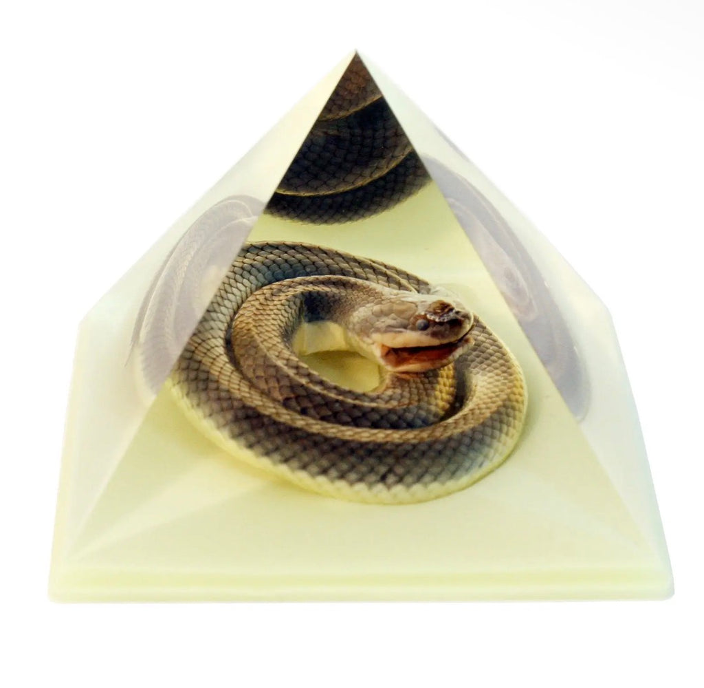 Glow-In-The-Dark Snake in Resin Pyramid
