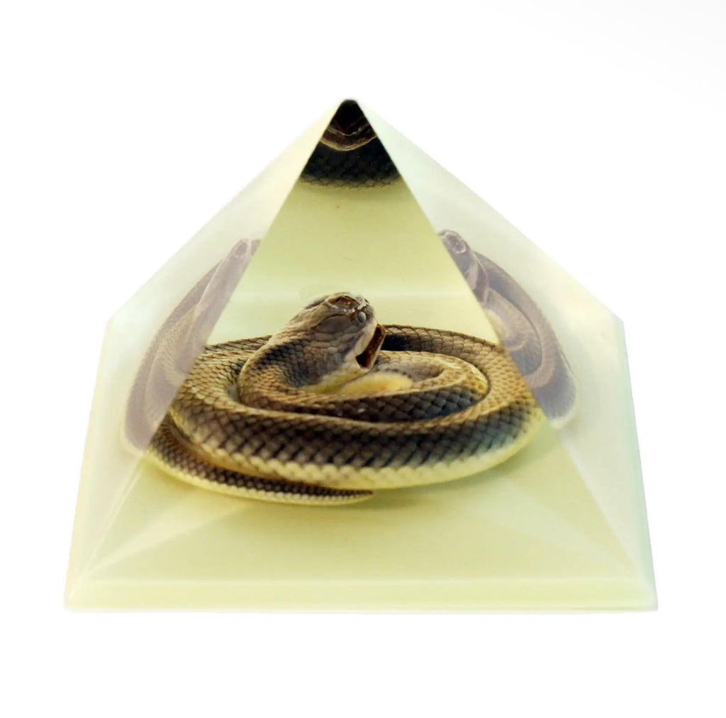 Glow-In-The-Dark Snake in Resin Pyramid