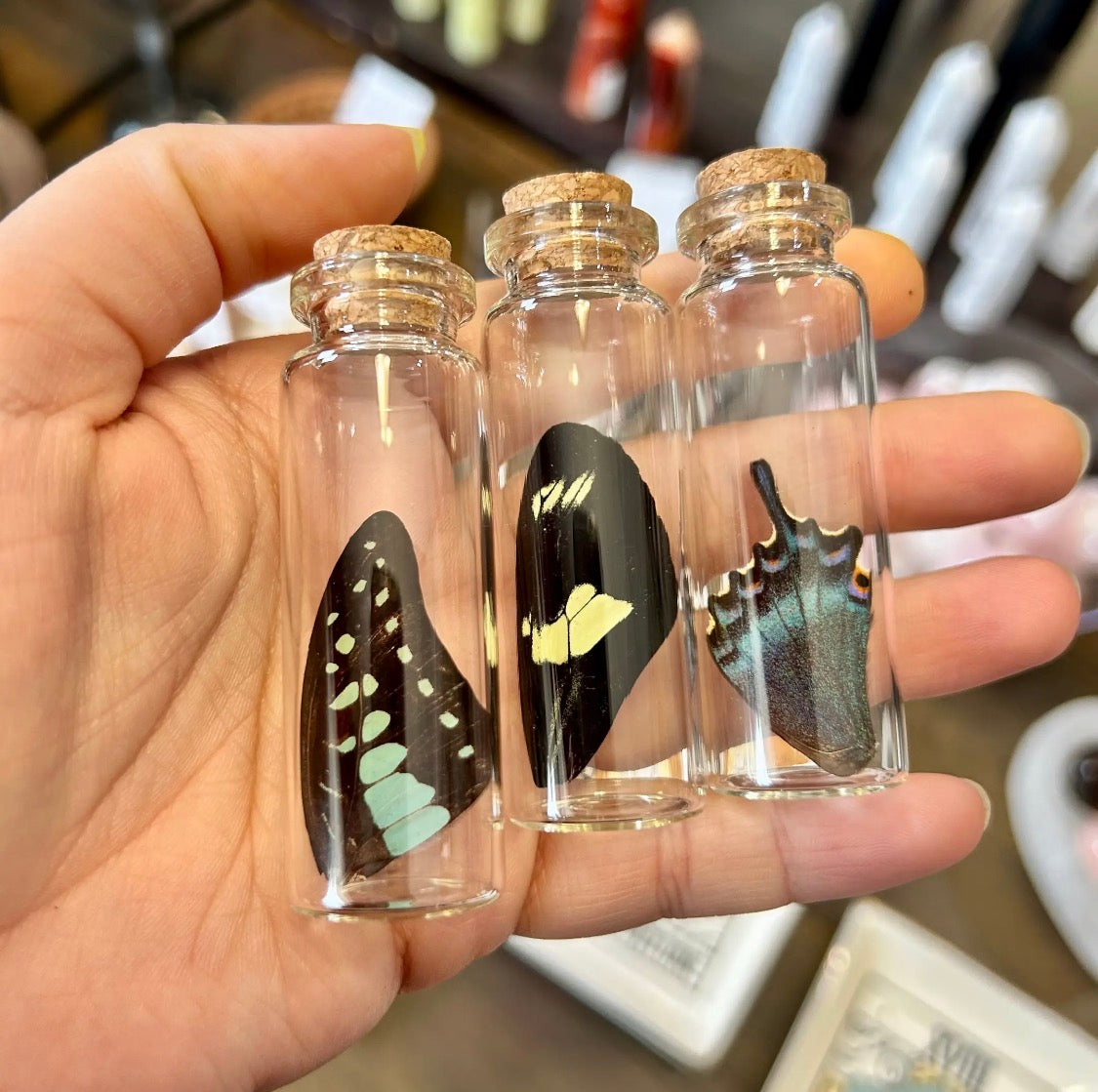 Butterfly Wing Vial