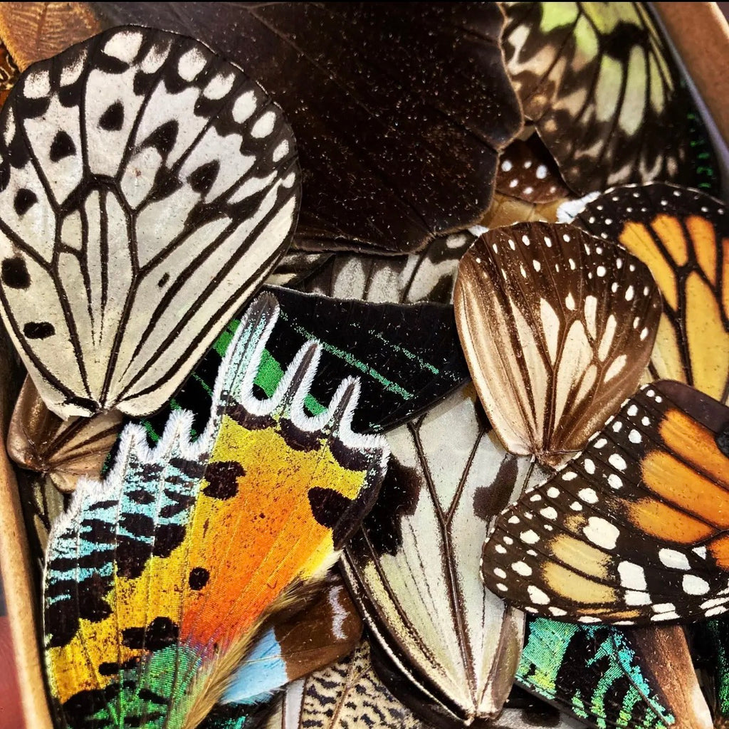 Butterfly Wing Vial