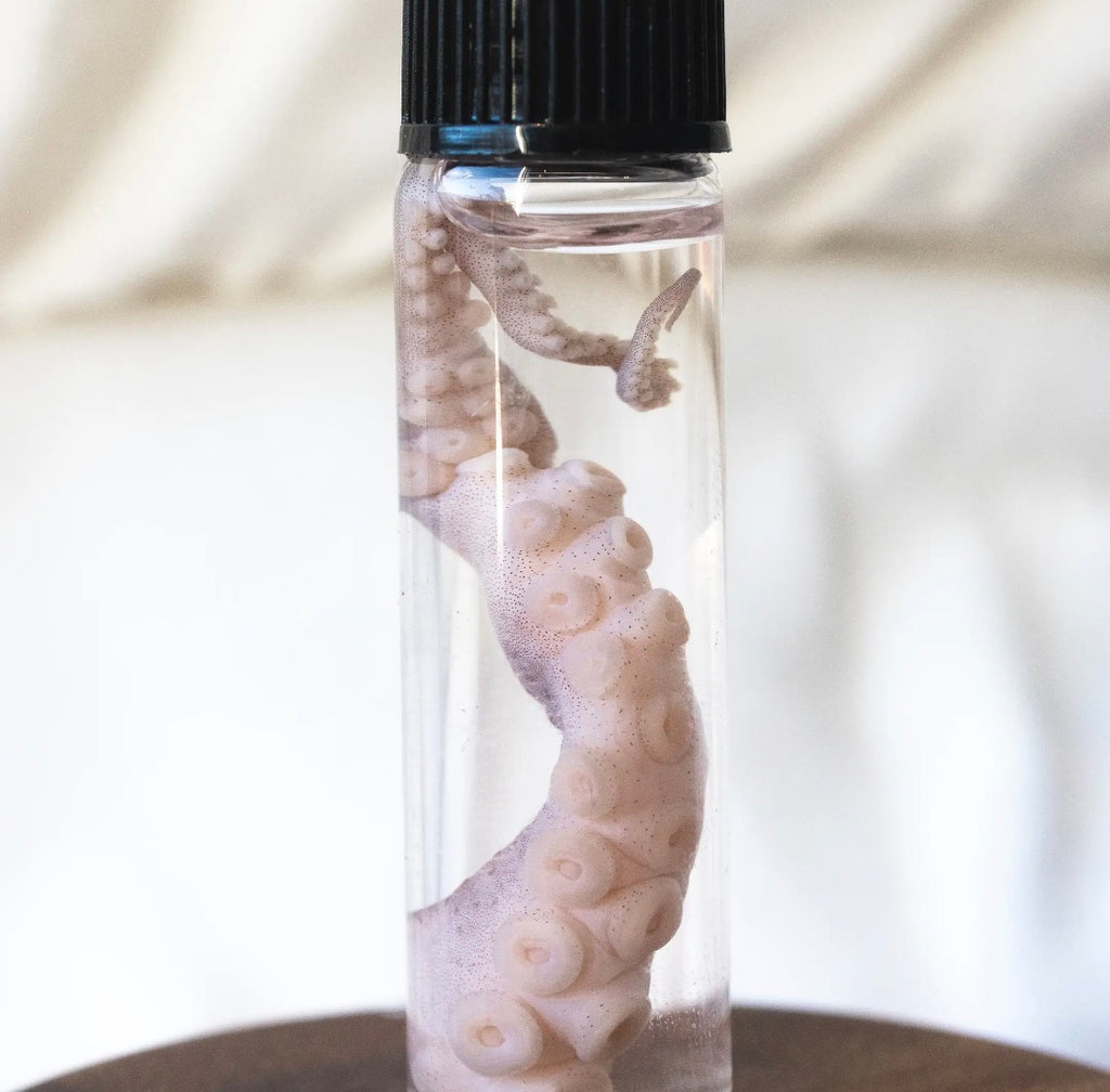 Octopus Tentacle Vial