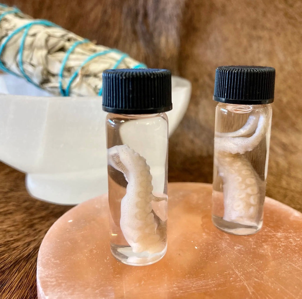 Octopus Tentacle Vial
