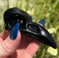 Obsidian Raven Skull